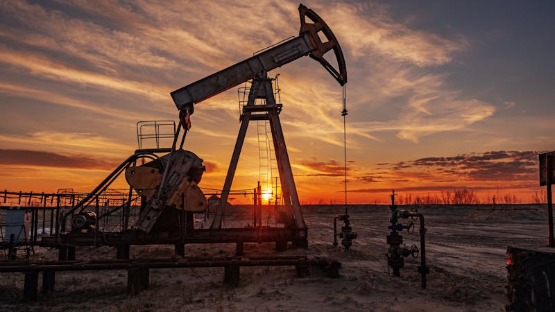 Restringir la extracción de combustibles fósiles, el elefante en la habitación de las cumbres climáticas Restringir la extracción de combustibles fósiles, el elefante en la habitación de las cumbres climáticas