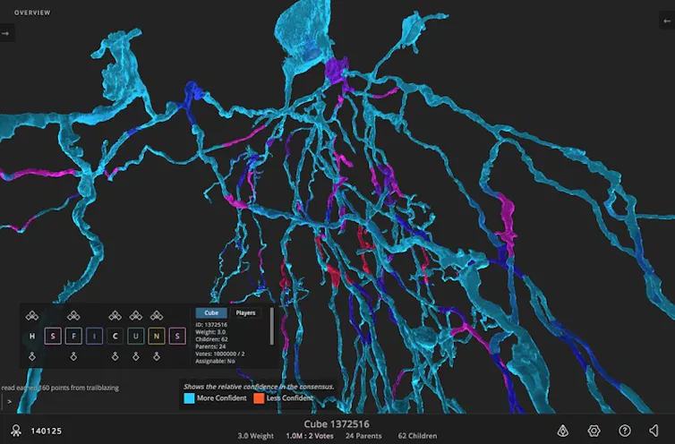 Funcionamiento del videojuego EyeWire Funcionamiento del videojuego EyeWire