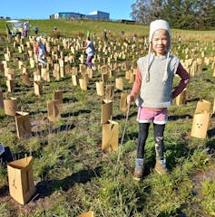 A young child standing among newly planted trees on farmland