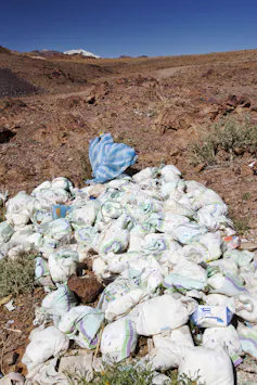 About 100 disposable diapers have been dumped on an empty piece of land.
