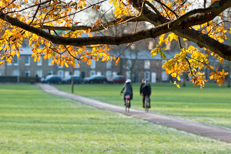 cyclists on an urban cycle path