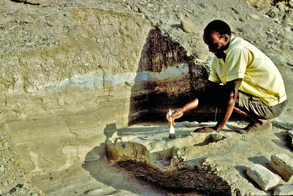 Fossilized Footprints Reveal 2 Extinct Hominin Species Living Side By fossilized-footprints-reveal-2-extinct-hominin-species-living-side-by