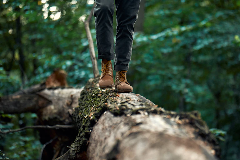 Une personne marche en équilibre sur un tronc d'arbre dans une forêt