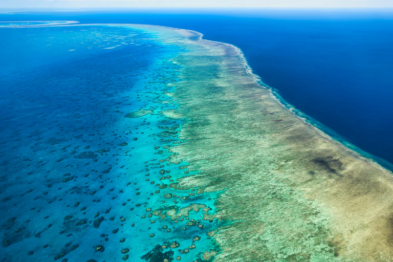 coral reef and deeper water