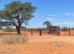 A red, desert area with a few trees and bushes and a water tank