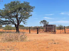 A red, desert area with a few trees and bushes and a water tank