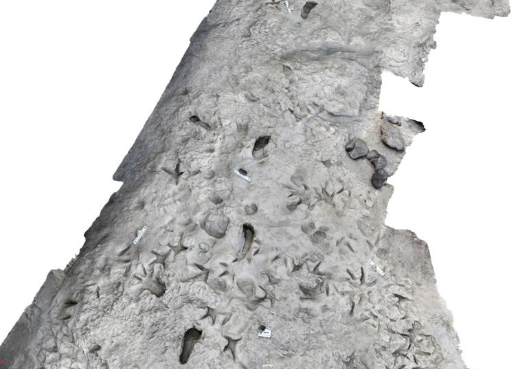 3D image of footprints pressed into a surface