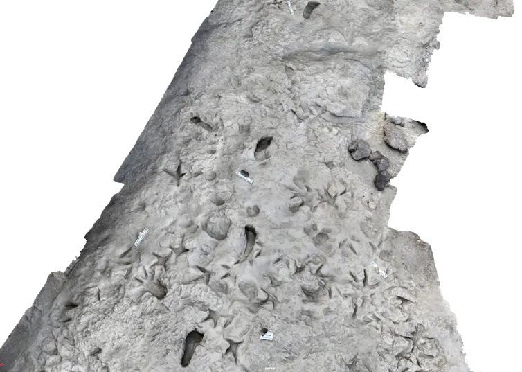 3D image of footprints pressed into a surface