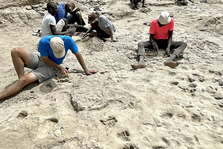 several people seated on rock ground looking down and carefully uncovering fossil footprints
