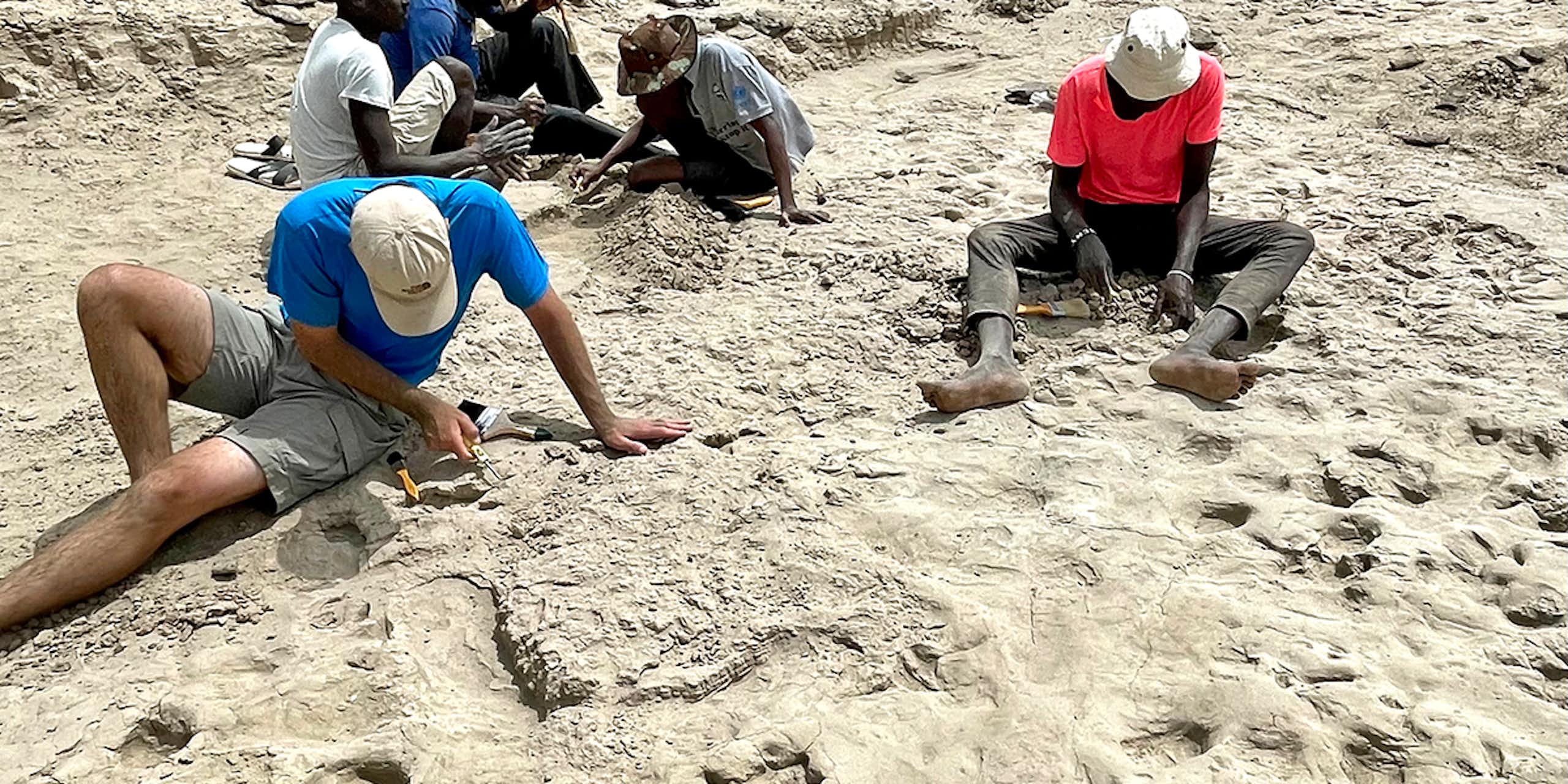 several people seated on rock ground looking down and carefully uncovering fossil footprints