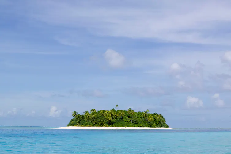 small tropical island with palm trees, surrounded by blue sea