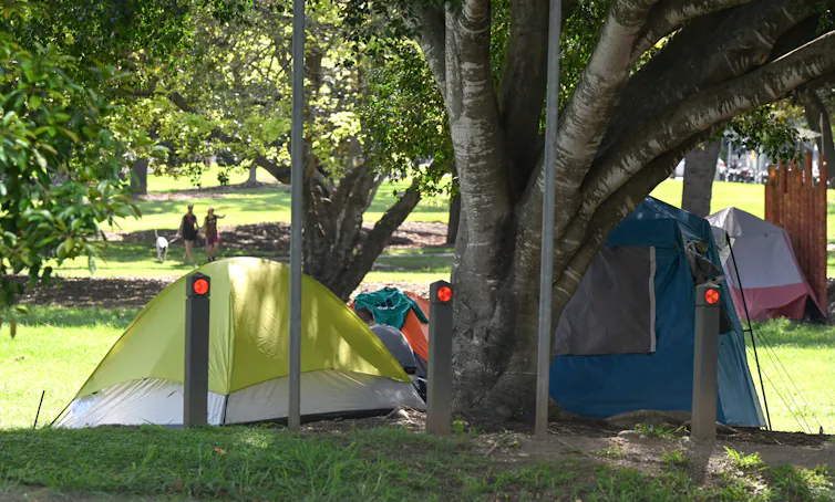 A yellow tent and a blue tent pitched behind a tree in a leafy public park.