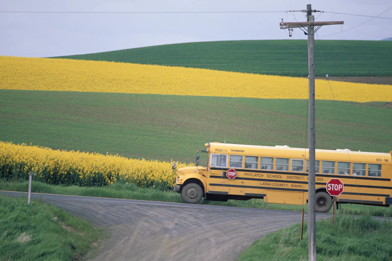 A yellow school bus travels a road with green and yellow pastures in the background.