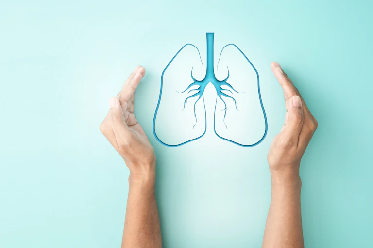 Graphic of some lungs with two hands cupping them.