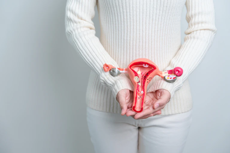 Une femme tient entre ses mains une reproduction du système reproductif féminin.