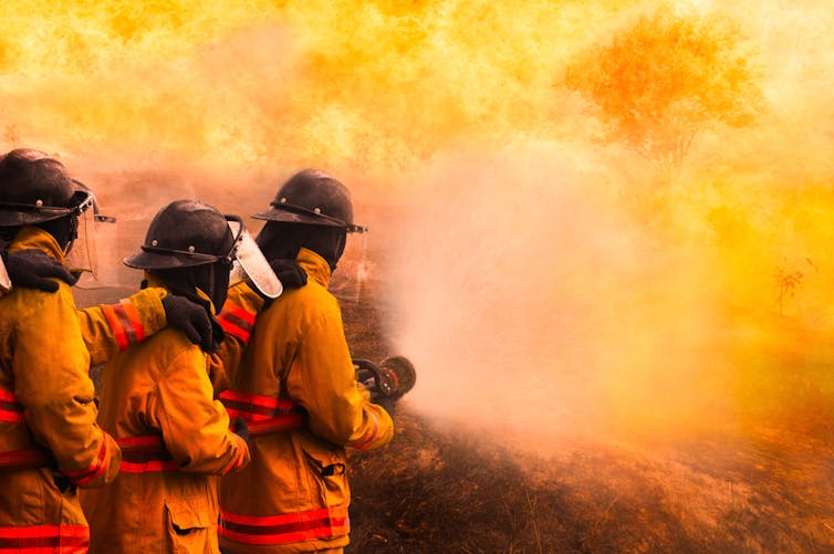Firefighters holding hose, aimed at bushfire