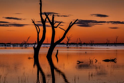 landmark study reveals stark failure to halt Murray-Darling River decline