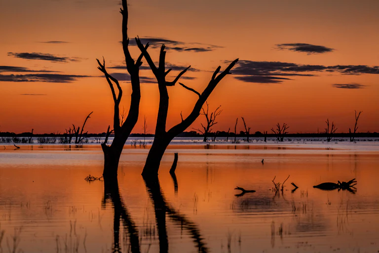 lake and tree trunks in silhouette against orange sky