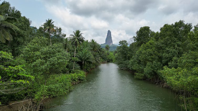 A view of a plant-rich, tree-lined landscape foregrounding a large peak