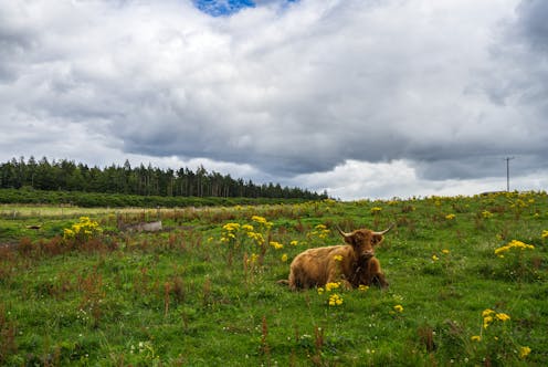 Changes to farmers’ inheritance tax are fair and could even help them in the long run – expert view
