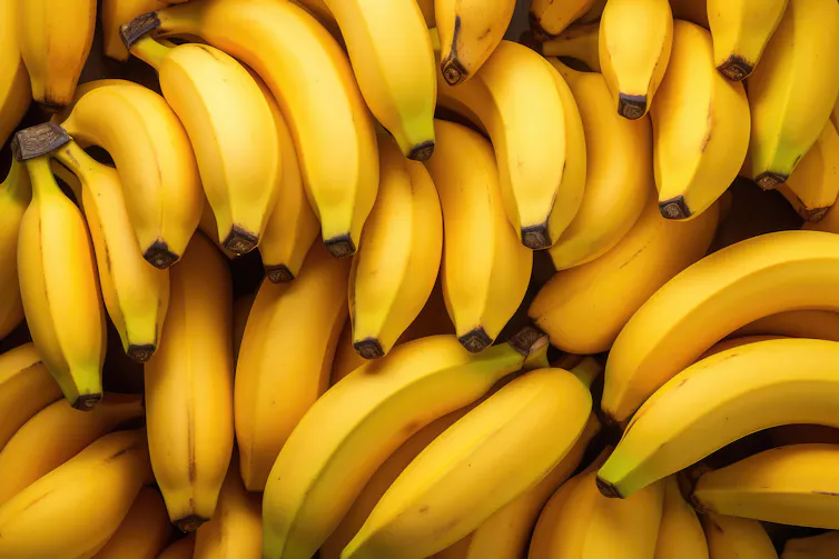 close up of yellow bunches of bananas