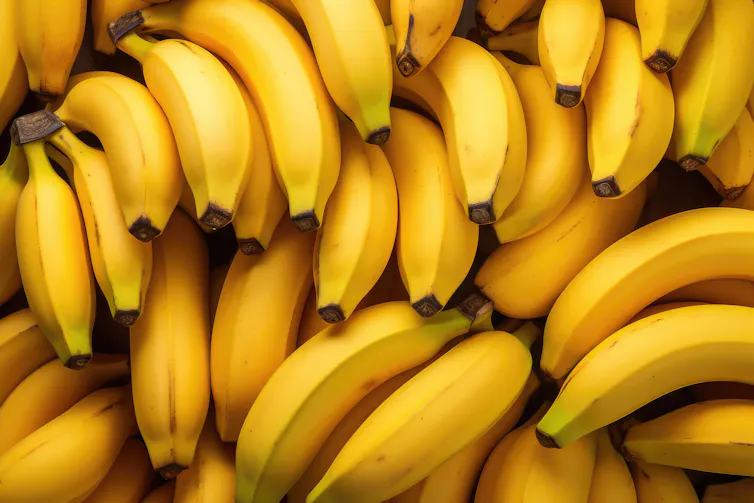 close up of yellow bunches of bananas