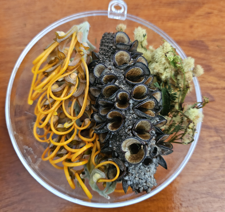 A clear plastic bauble filled with natural flowers and seed pods.