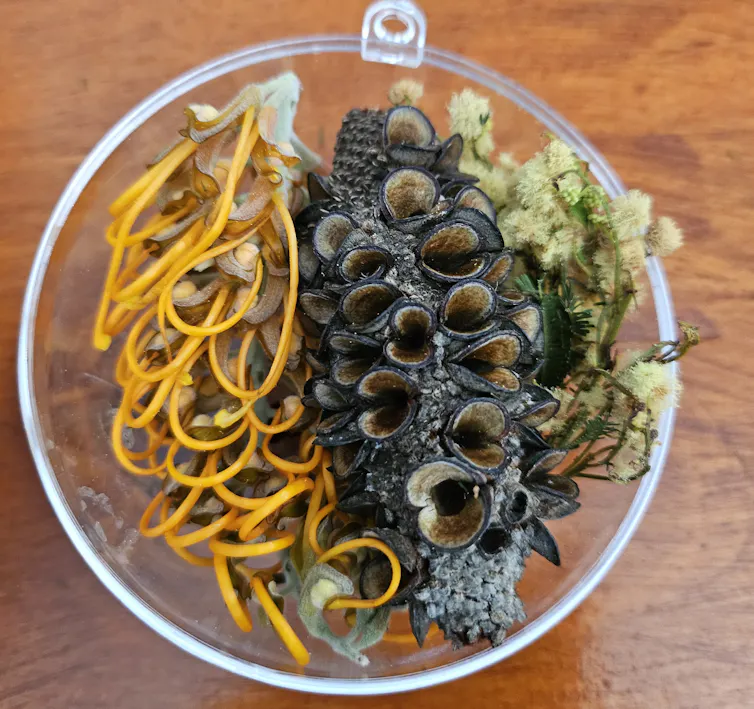 A clear plastic bauble filled with natural flowers and seed pods.