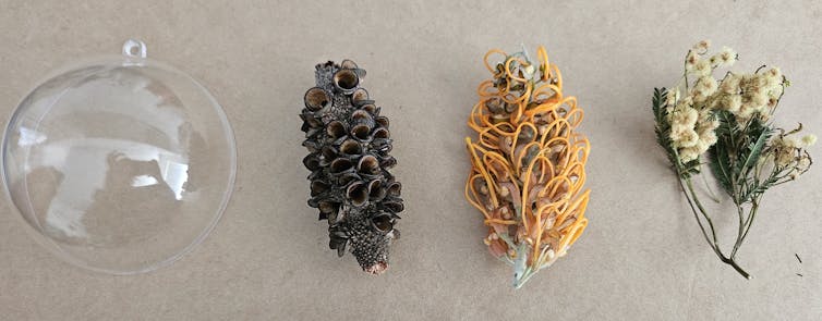 Four items laid out on a table, an empty fillable clear plastic bauble, a banksia seed pod and two flowers.