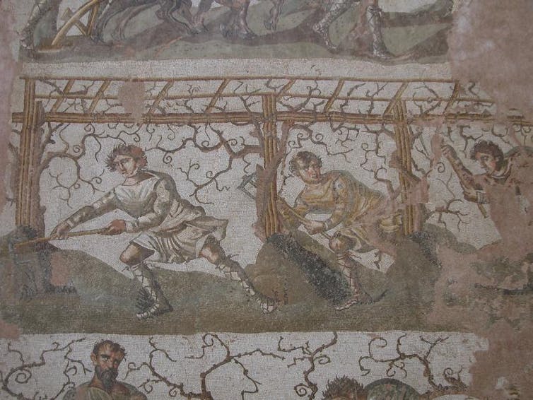 A mosaic showing people picking grapes.