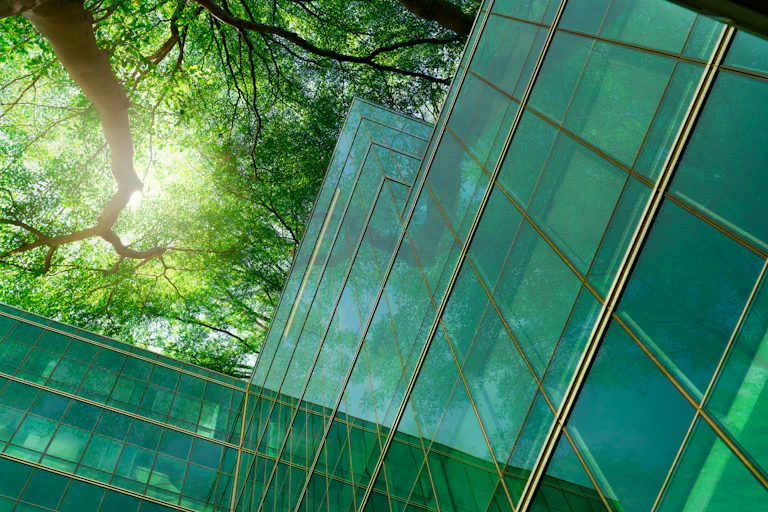 View from the ground up of office windows and light coming through trees