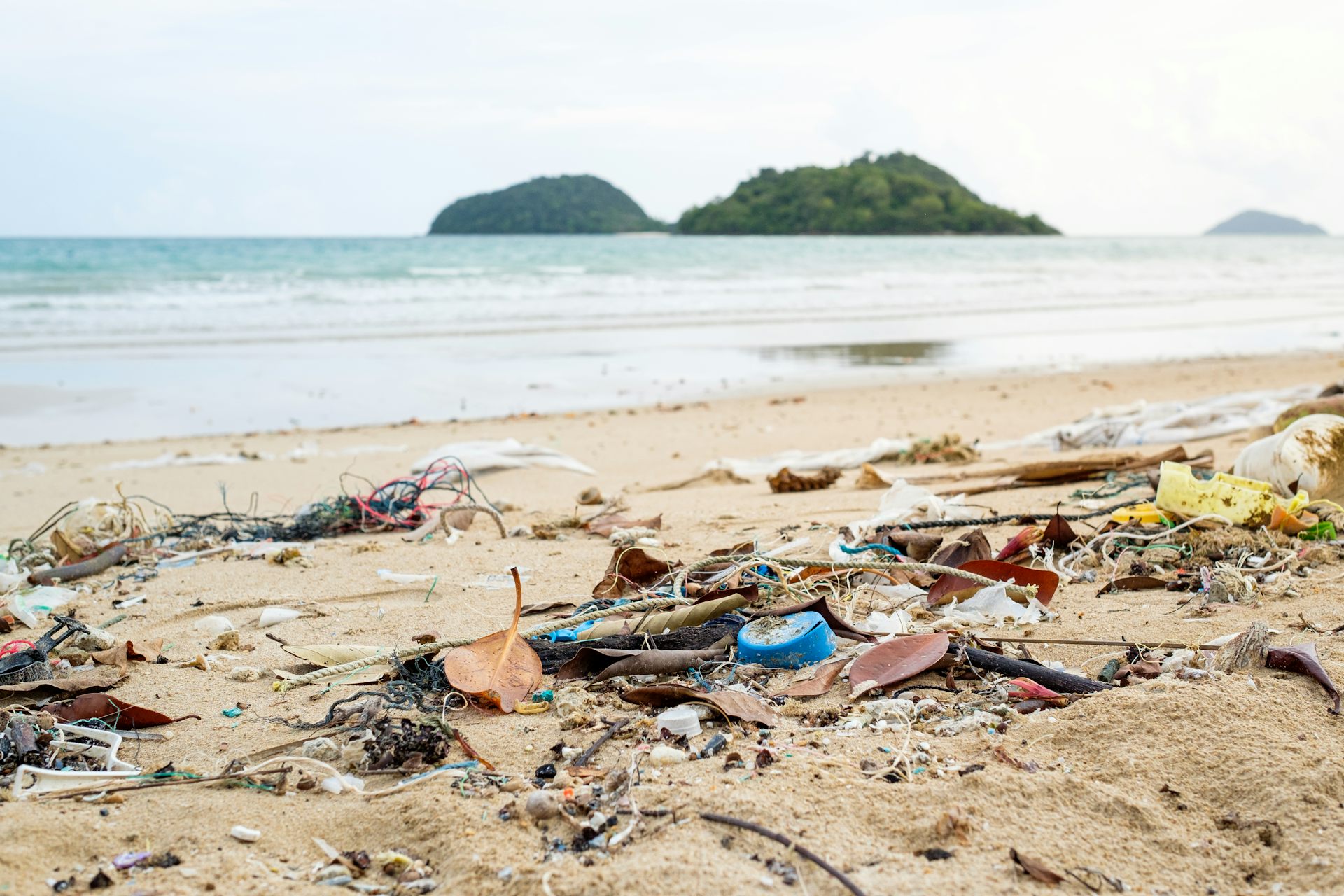 A tropical beach with plastic waste.