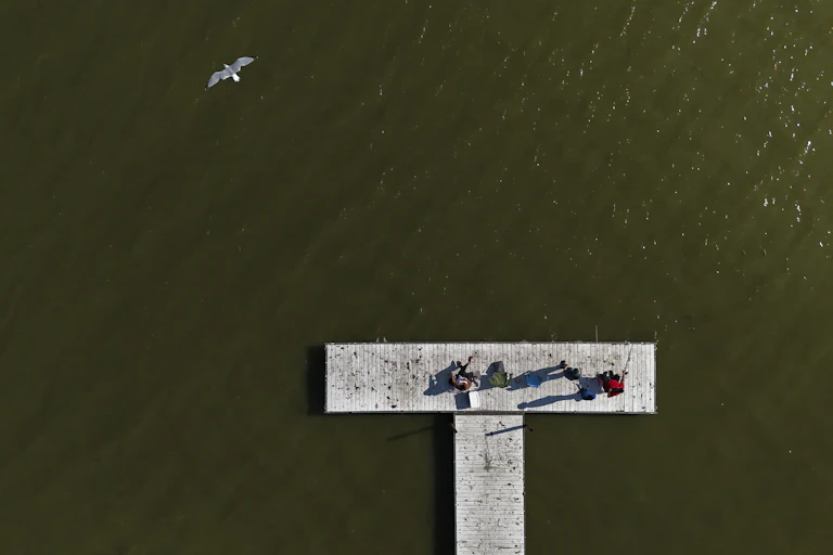 Two people sit on a dock sorrounded by green coloured water..