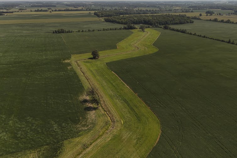 Agricultural fields are seen from above.