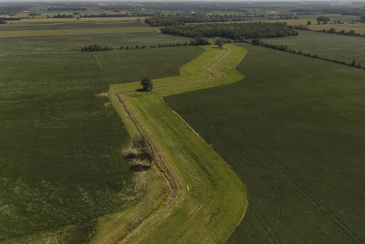 Agricultural fields are seen from above.