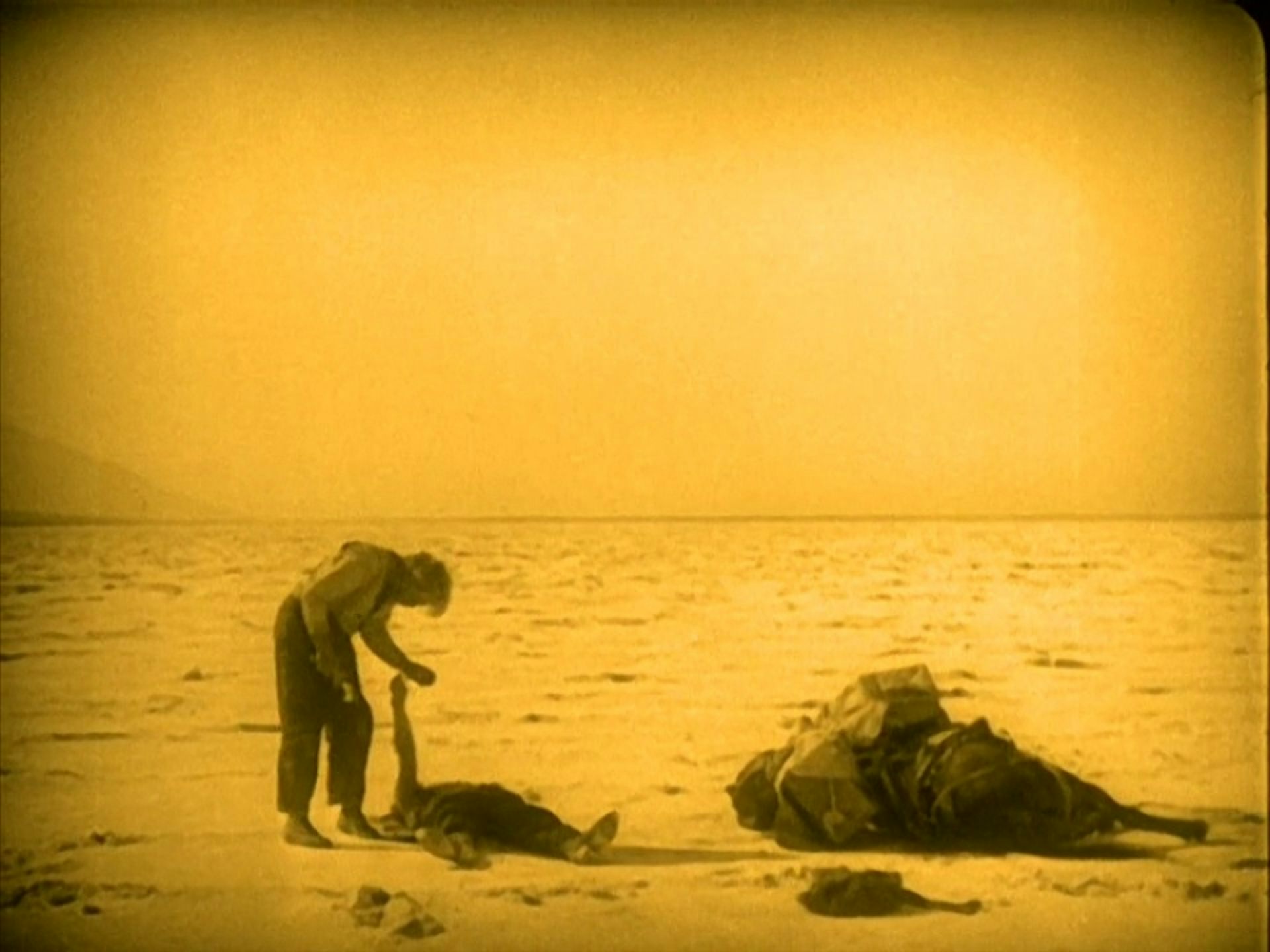 A yellow scene, people collapsed on the desert.