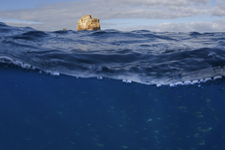 Cross sectional view of the ocean with a tiny bit of an island visible amongst the waves