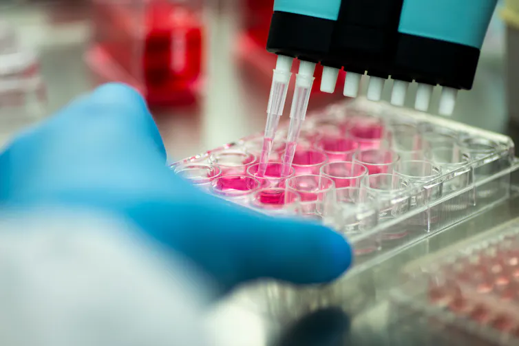 a gloved hand reaches for test tube vials with a pink liquid