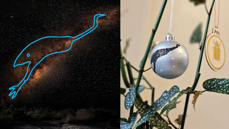 An image of the Milky Way with an outline of the Emu, highlighting the shape of the Emu in the Sky dark patches in the Milky Way galaxy. On the right is a siler bauble hanging from an indoor plant (polka dot bogonia). The bauble has black glitter in the s
