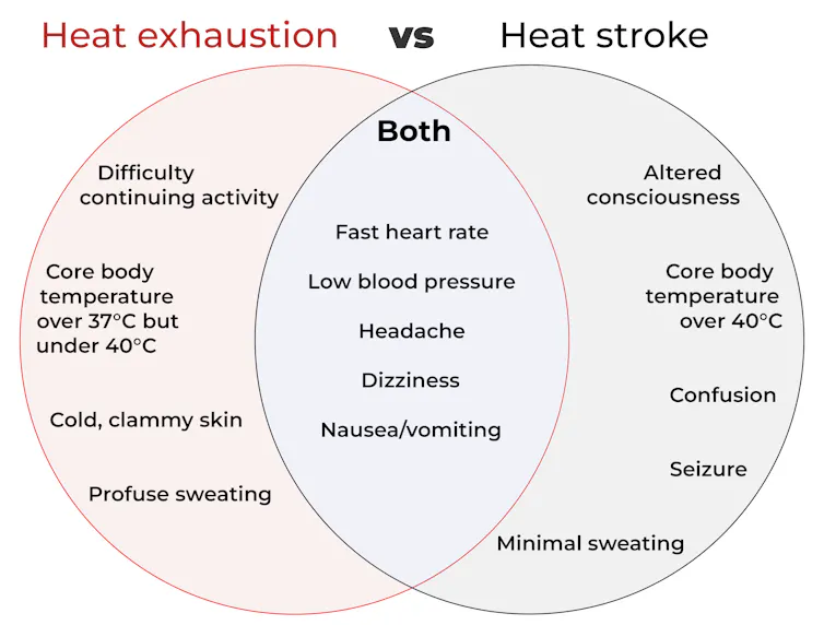 Heat exhaustion vs heat stroke venn diagram