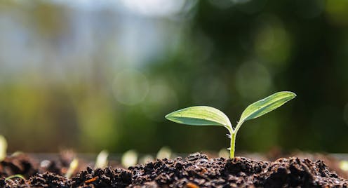 Australians still feeling pain in the hip-pocket but there are positive signs of growth ahead