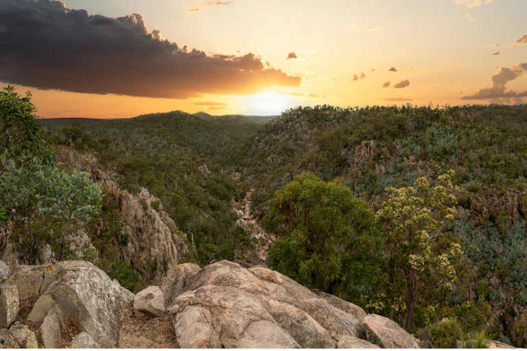 sun rises over wooded valley