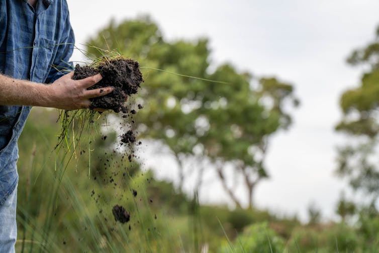 man holding clump of soil