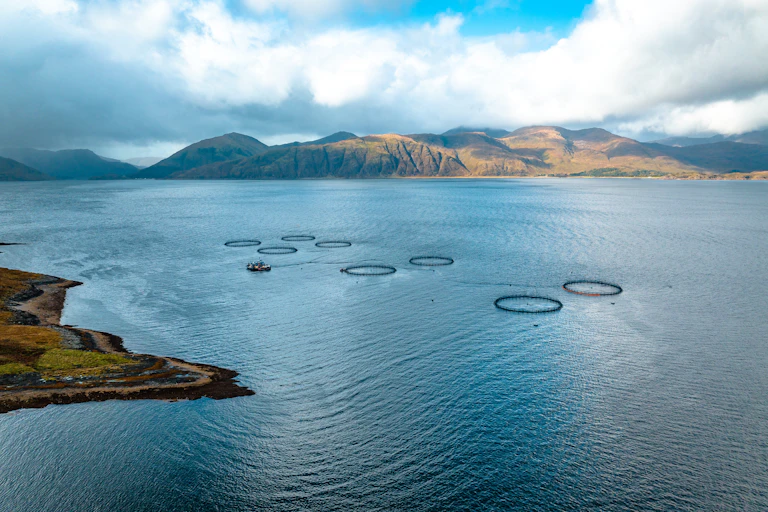 salmon farm in Scotland with mountain backdrop