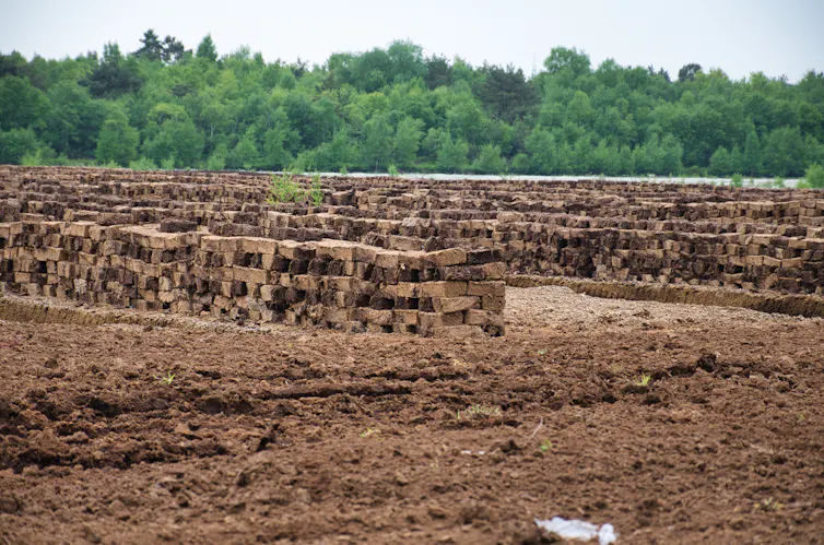 dug up peat bogs