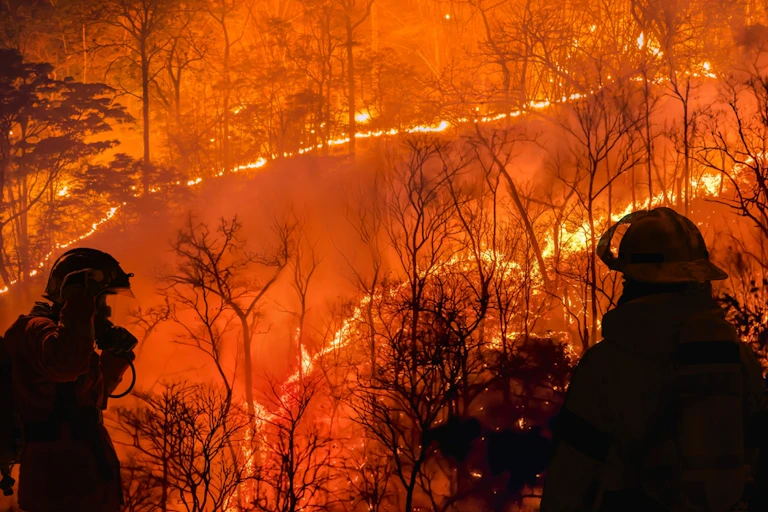Firefighters attend Australian bushfire