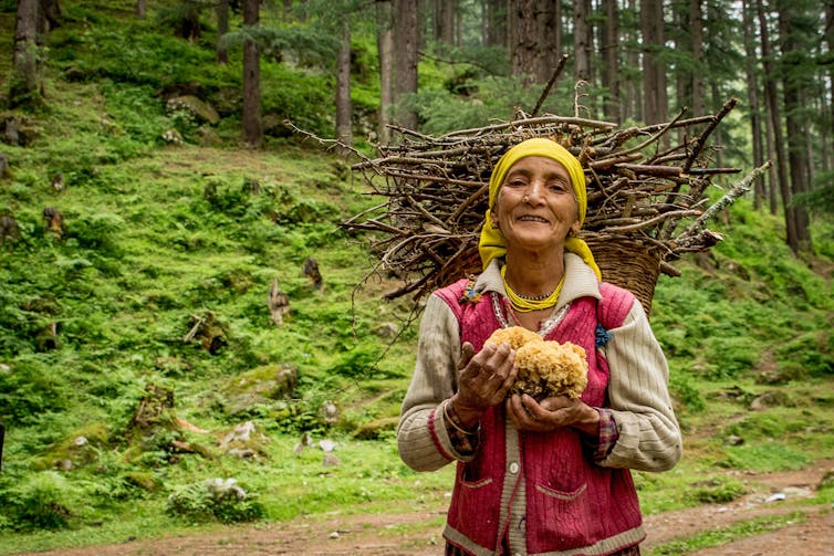 lady carries mushrooms in forest
