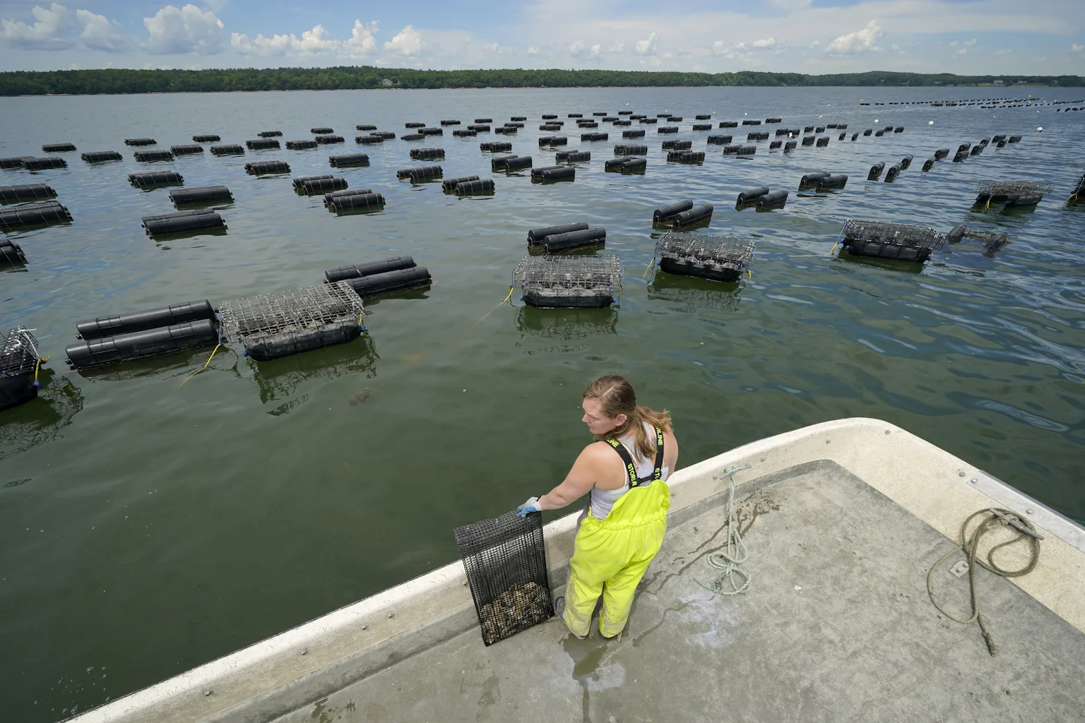 Canadian Shellfish Community acceptance is key to developing shellfish farms in Canada