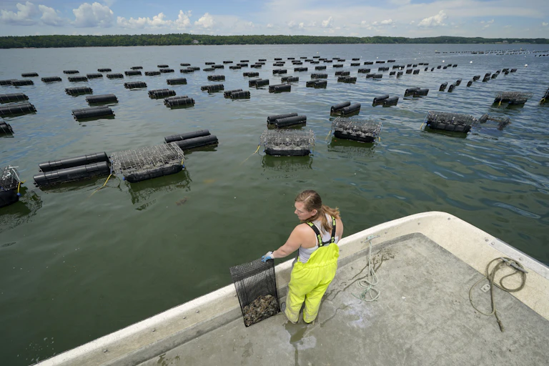 A woman stands on a pier next to dozens of floating cages.