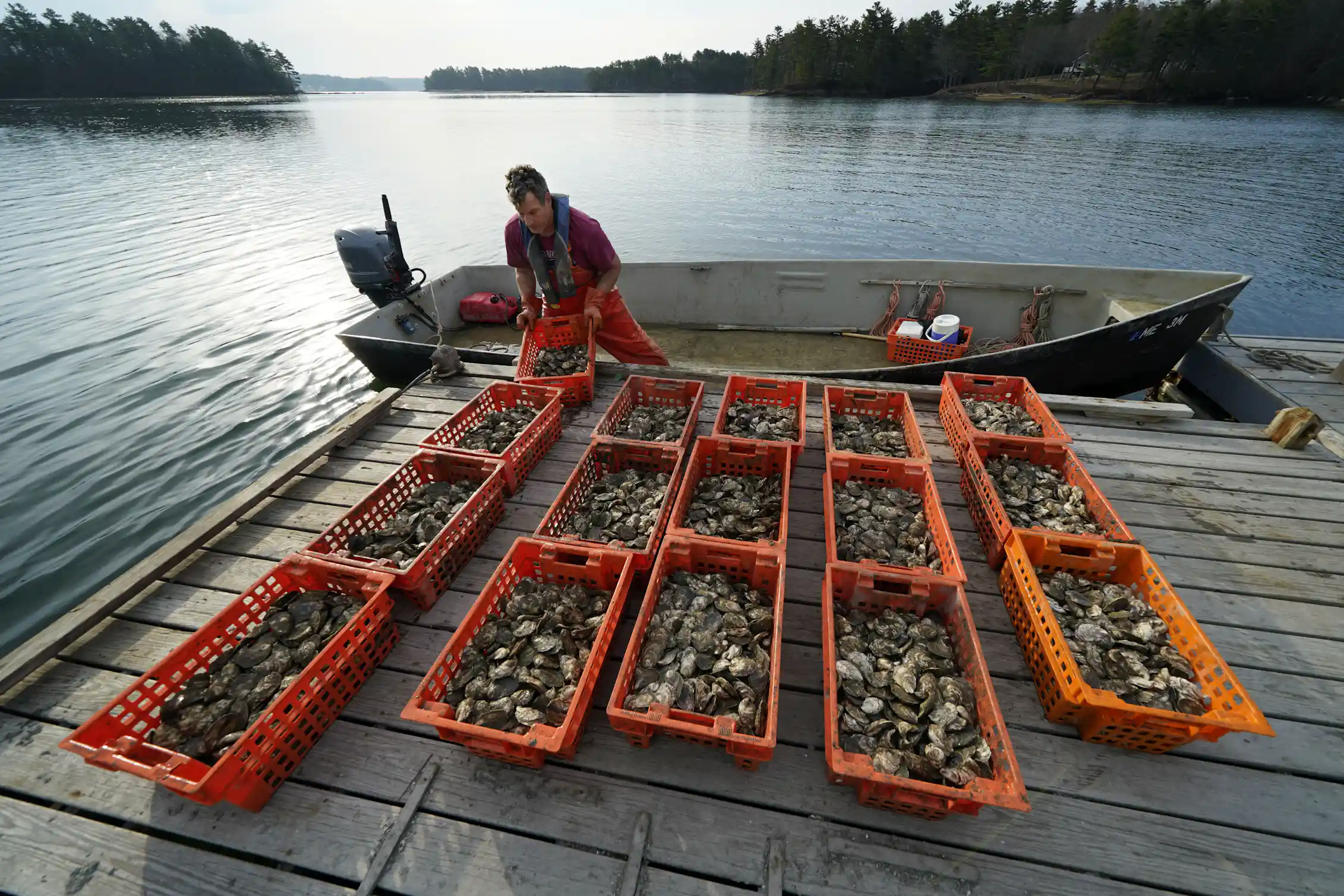 Canadian Shellfish Community acceptance is key to developing shellfish farms in Canada